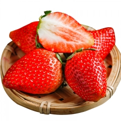 【果翻天】四川双流大凉山草莓3斤大果单果15g+产地直发顺丰或京东