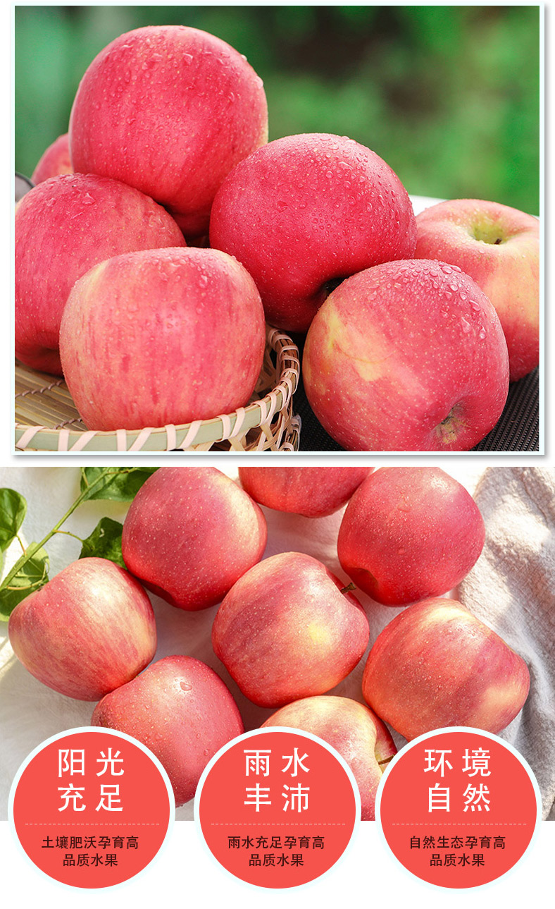 【果翻天】阿克苏苹果5斤大果果径80mm礼盒装 - 诚客优礼 - 企业礼品